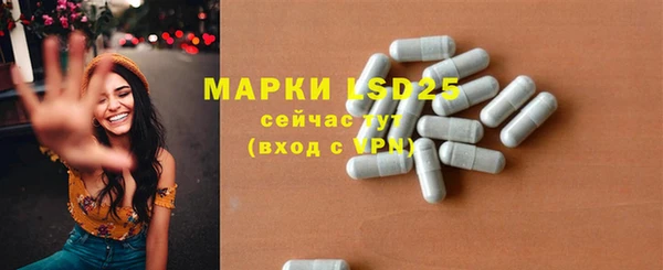 ГАЛЛЮЦИНОГЕННЫЕ ГРИБЫ Алексин
