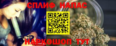 Альфа ПВП Ярославль