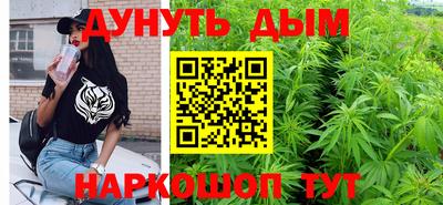 Альфа ПВП Ярославль