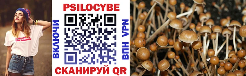Псилоцибиновые грибы GOLDEN TEACHER  даркнет сайт  Архангельск 