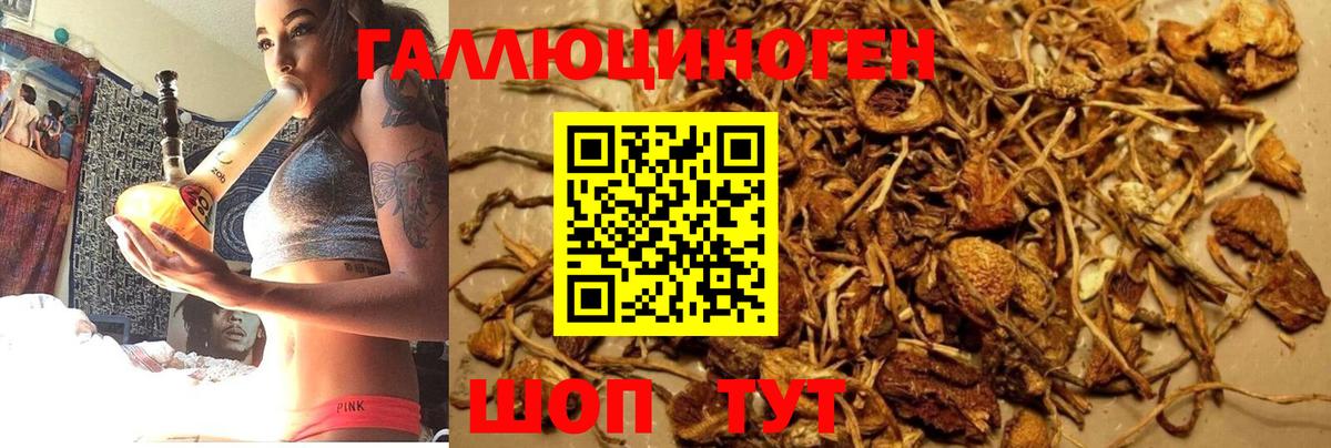 Архангельск  Псилоцибиновые грибы мицелий  Вход с VPN 